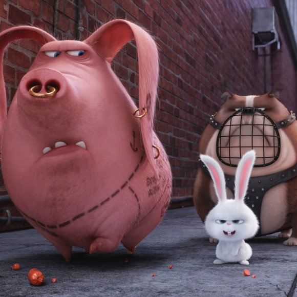 Excellent Used Condition The Secret Life of Pets Blu Ray & DVD 2 disc set - Picture 4 of 8